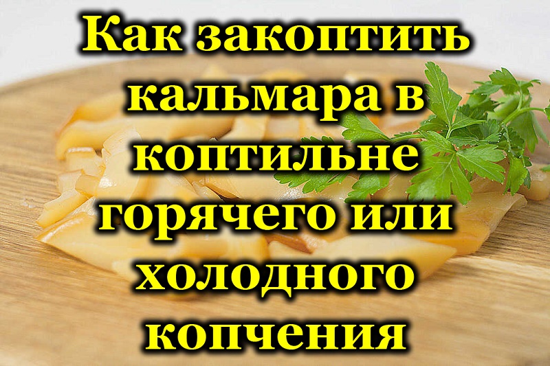 кальмар копченый рецепт горячего копчения. Смотреть фото кальмар копченый рецепт горячего копчения. Смотреть картинку кальмар копченый рецепт горячего копчения. Картинка про кальмар копченый рецепт горячего копчения. Фото кальмар копченый рецепт горячего копчения