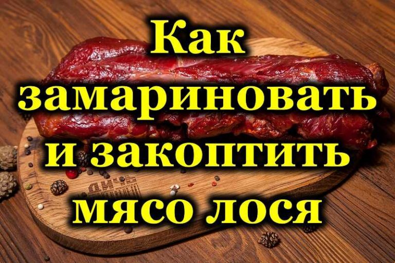 Можно есть мясо дикого лося