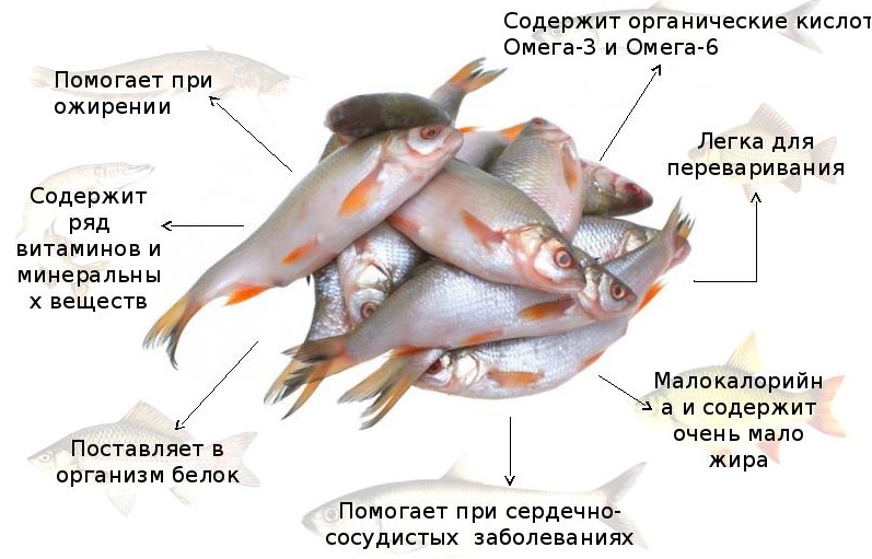 Польза белой рыбы