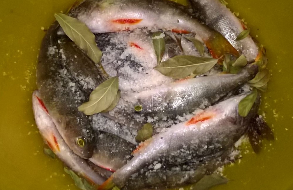 Рыба в соли с лавровым листом