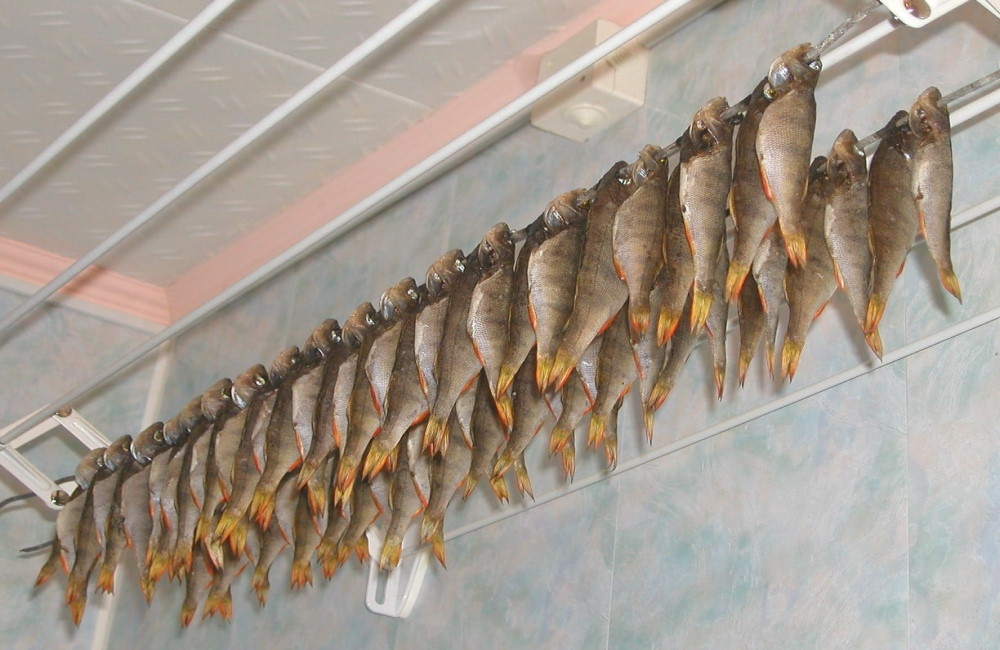 Тушки рыбы сушатся в ванной комнате 