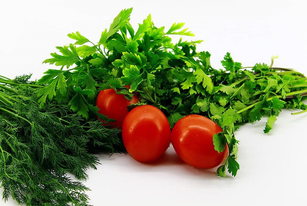 svezhie pomidory i zelen