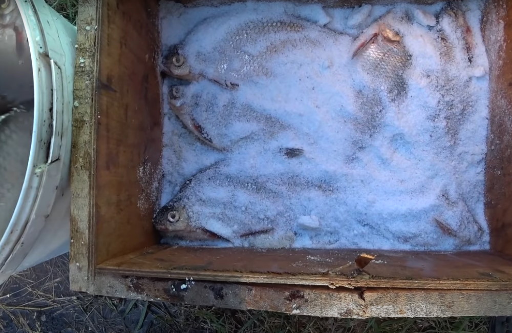 Деревянный ящик с рыбой засыпанной солью