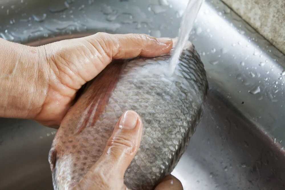 Промывание рыбы под струей воды