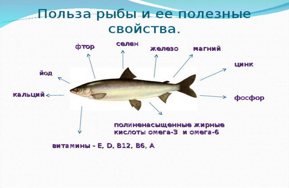 Информационное изображение о пользе рыбы