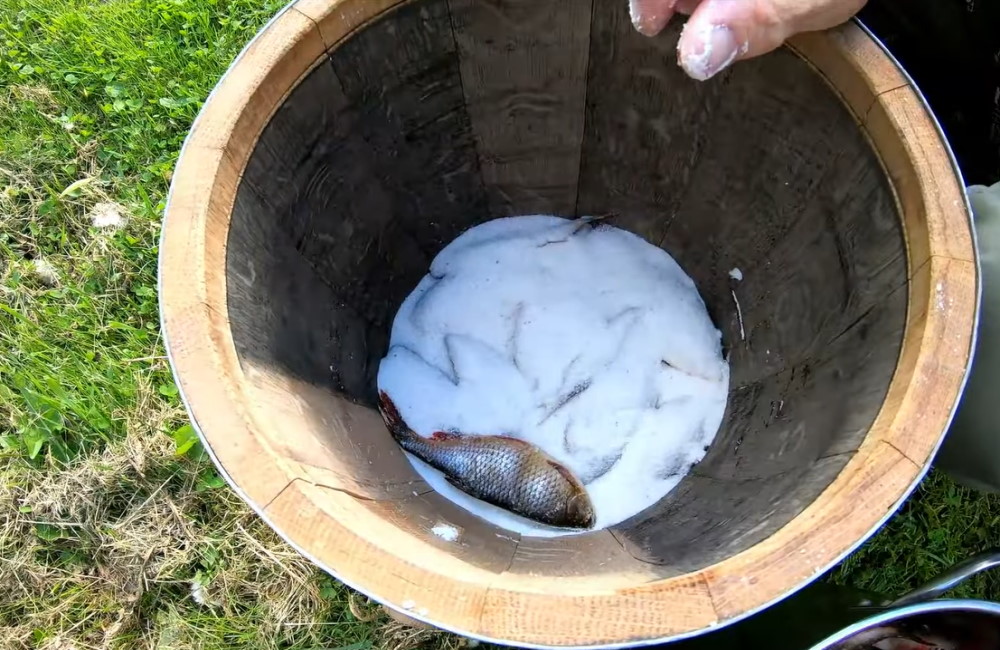 Рыба солится в деревянной бочке 