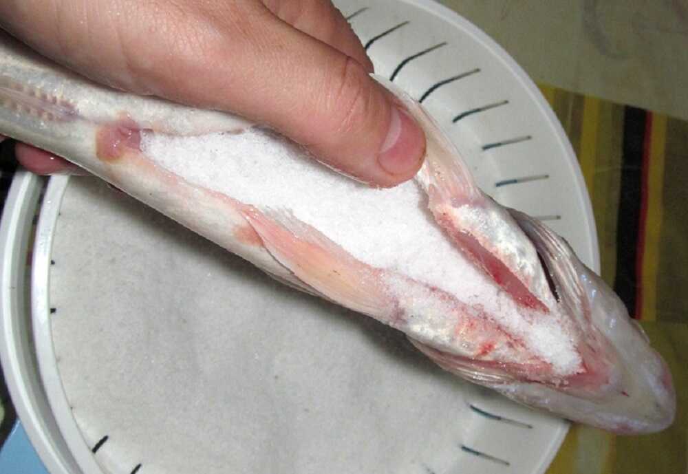 Соль нутри рыбы