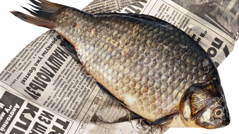 Соленая рыба лежит на газете