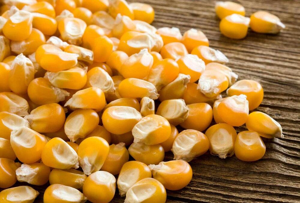 Зерна кукурузы на столе