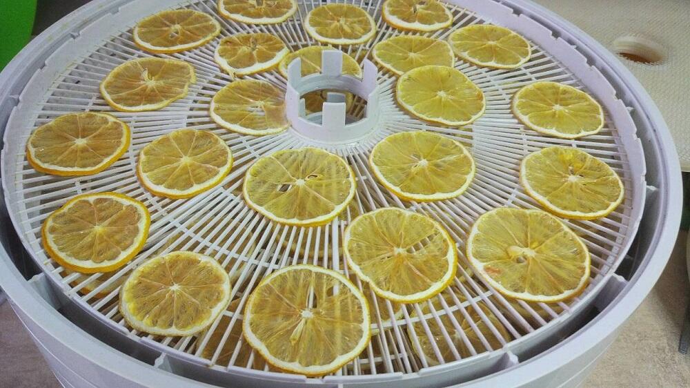 Лимон на решетке электросушилки