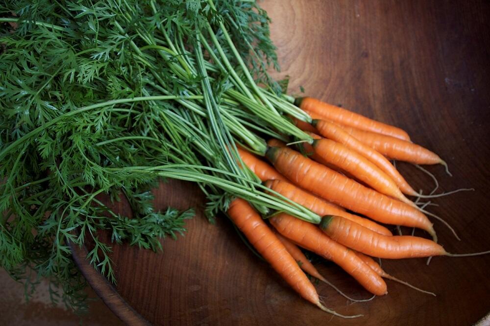 Молодая морковь с ботвой