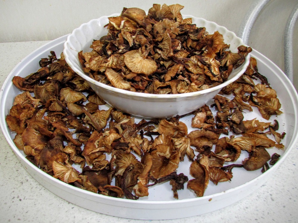 Тарелка с сушеными грибами