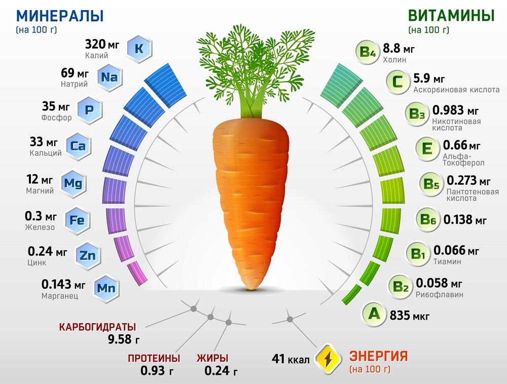 Витамины и минералы моркови