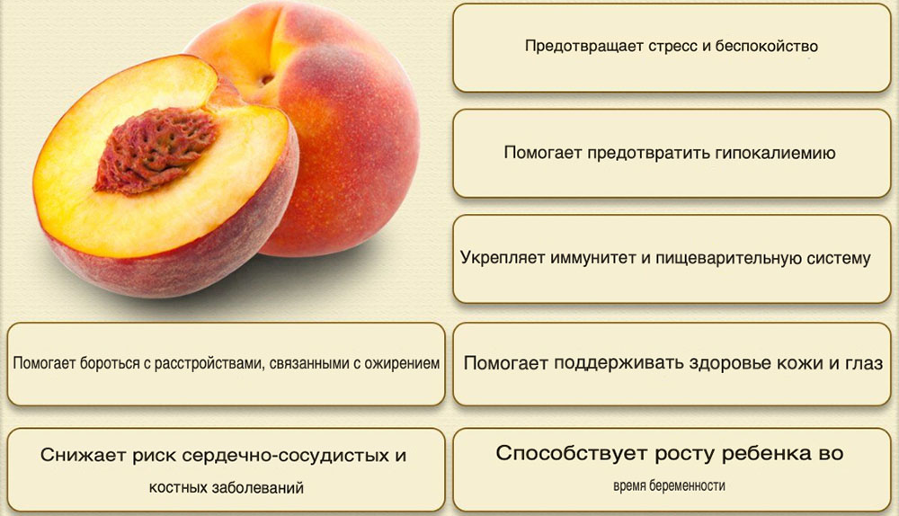 Польза персиков для человека